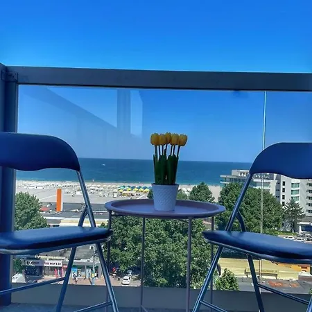 Dream View